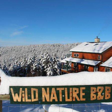Wild Nature B&B Kelowna Eksteriør billede